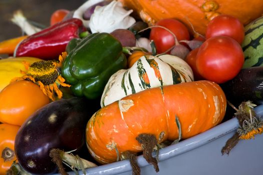 Wheelbarrow full of fall vegetables bright colors