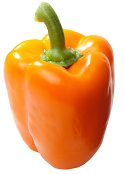 Paprika isolated on white background. Paprika is used as an ingredient in a broad variety of dishes throughout the world