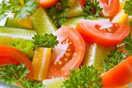 Fresh vegetables: tomatoes, cucumbers, a paprika and parsley in a plate