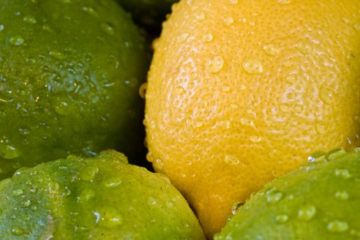 lemon lime orange fruit set close up and water drops in the set