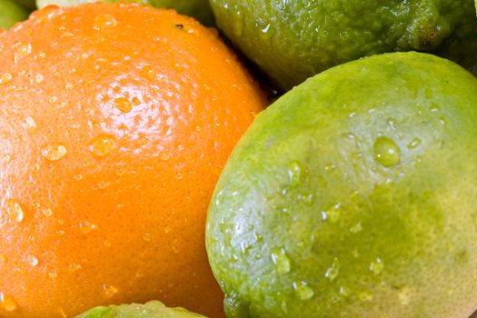 lemon lime orange fruit set close up and water drops in the set