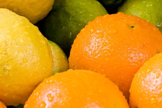 lemon lime orange fruit set close up and water drops in the set