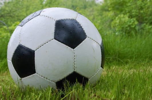 Soccer ball on grass clouse up.