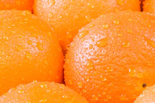 bunch of fresh oranges shot close up