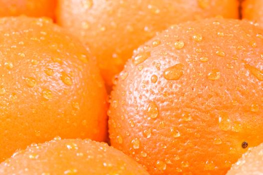 bunch of fresh oranges shot close up shallow depth of field