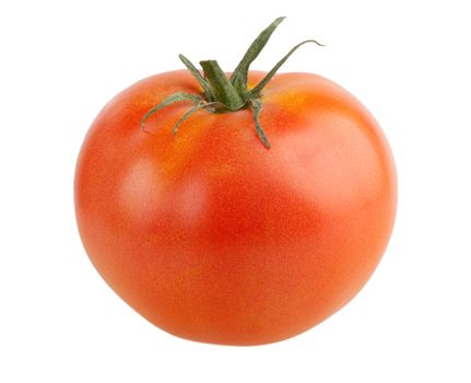 One tomato isolated on a white background. Stem green, not dried. The skin is thin, is clearly visible all the texture of the fruit. Color natural, verified by the gray card, sharpness is not enlarged