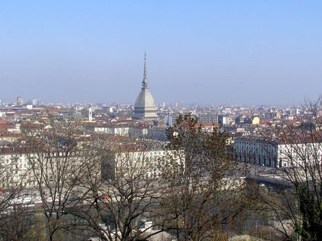 Turin panorama seen from the hill