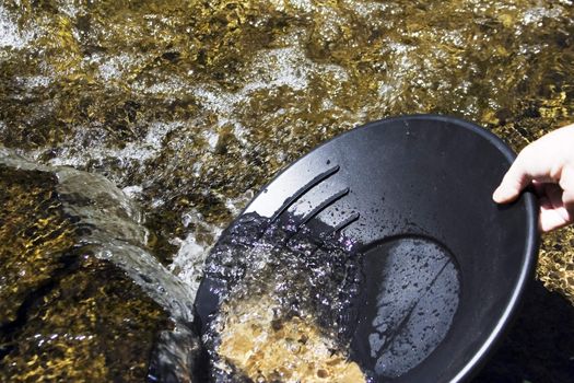 Panning for gold in a northern michigan stream