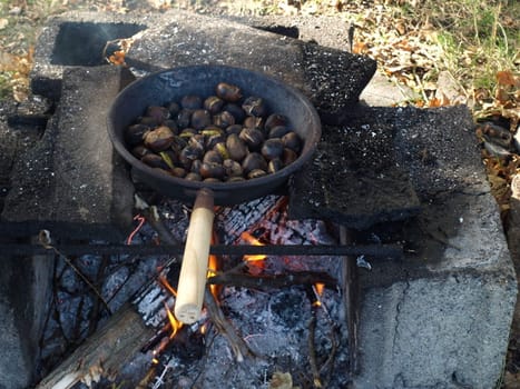 Barbecue BBQ