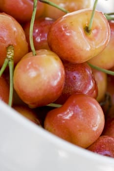 High key shot of a bowl full of cherries