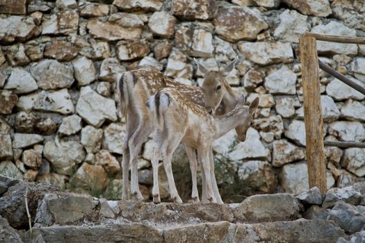 Photo is shot in a natural park in Zakynthos Island - a summer holiday destination in Greece