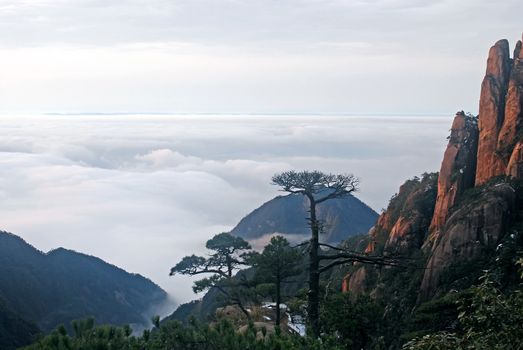 Filming in Jiangxi, China.The Sanqingshan mountai is World Natural Heritage