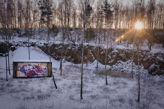 Contrast between a container with graffiti and its natural setting