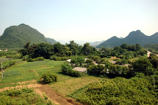 Green, natural landscape with rice fields in Chinese countryside, around town QingYuan in Guangdong province.