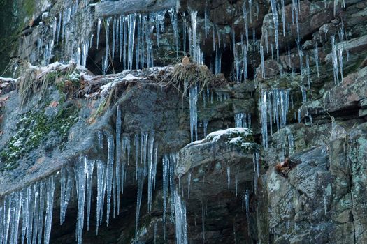 Icicles on a rock wall (Sweden).