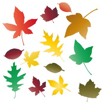 Autumnal concept background, vector leaves.