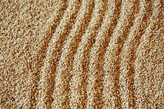 sand background