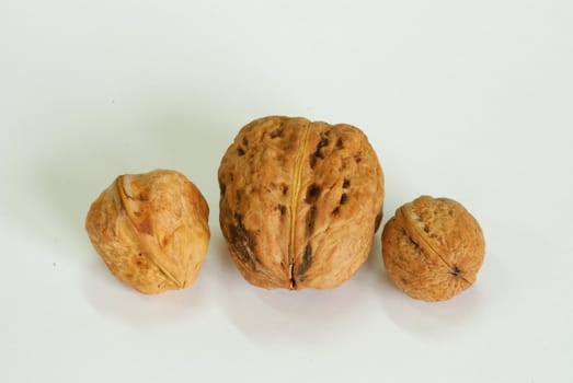 close up of three wallnuts on white background