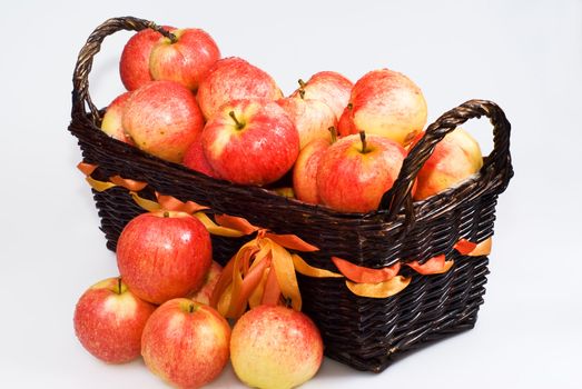 Basket with red apples on the white background