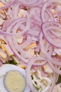 macro shot of a dinner salad with tons of red onions