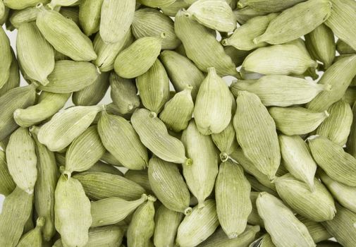 Cardamom whole, the Indian spice. Filmed close up