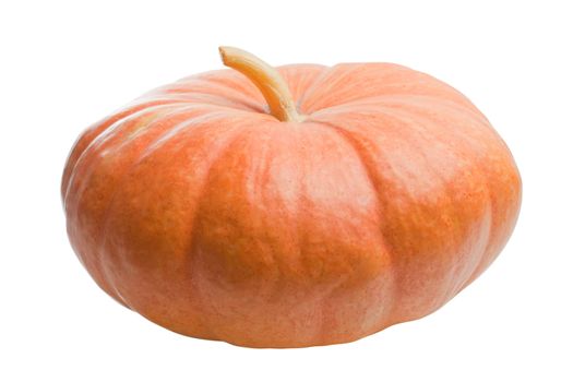 Pumpkin isolated on white background