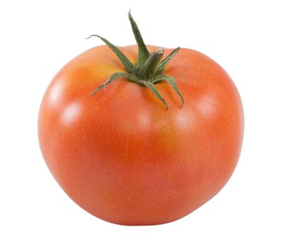 One tomato isolated on a white background