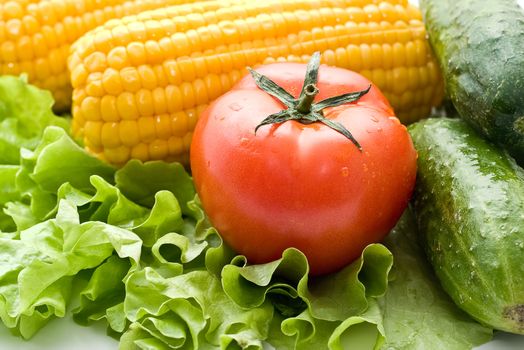 Vegetables close-up: tomatoes, cucumbers, corn on the leaves of lettuce.
