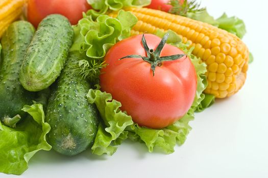 Vegetables on light background: tomatoes, cucumbers, corn on the leaves of lettuce.