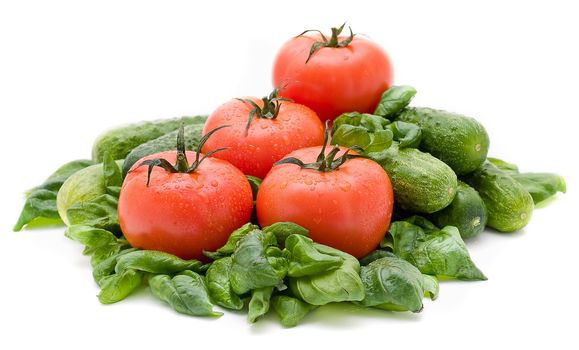 Vivid wet ripe tomatoes and basil leaves.
