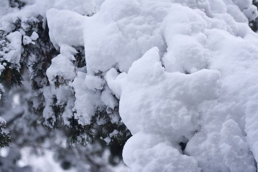 We got a bid winter storm this is what I could see looking out my back window, nice snow background