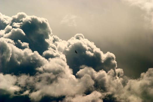 Scenic cumulus clouds before a storm