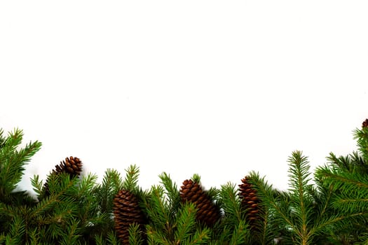 Christmas frame for your congratulations and best wishes. Fur-tree branches and the cone. Studio light.