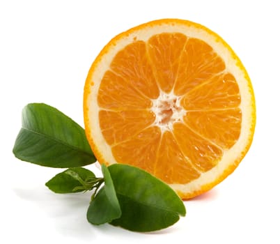 Orange on a white background