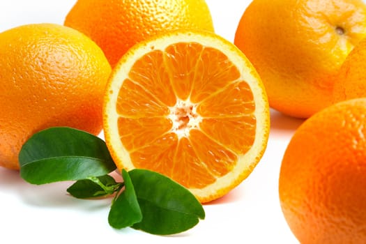 Oranges on a white background