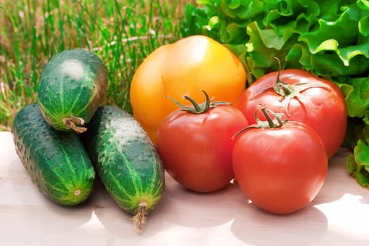 Healthy food on green grass background: tomatoes, cucumbers, sweet paper and leaves of lettuce