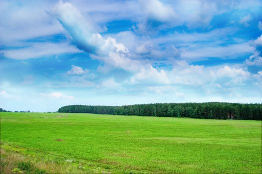 Summer landscape: green meadows and woods far away.