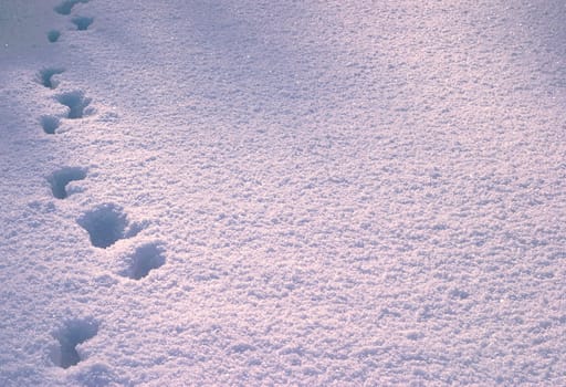 Footprint in deep snow. Russia, winter.