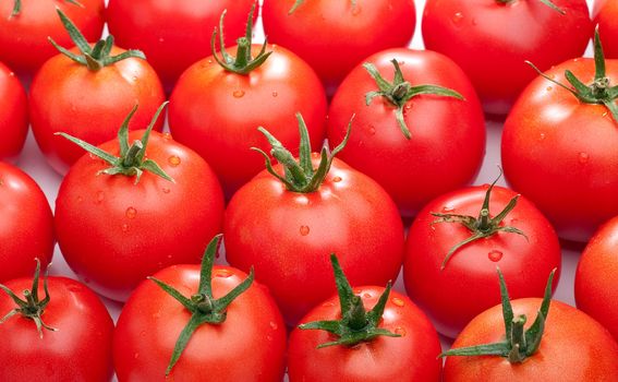 A lot of fresh tomatoes close up