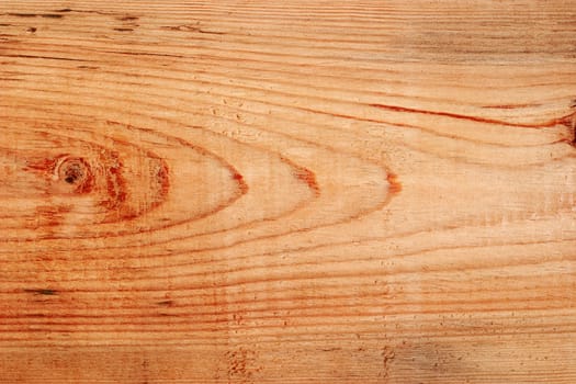 Texture of wood
