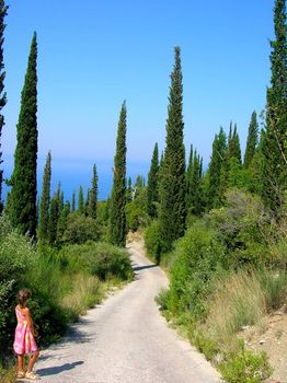 country curve road between cypresses nearby seashore