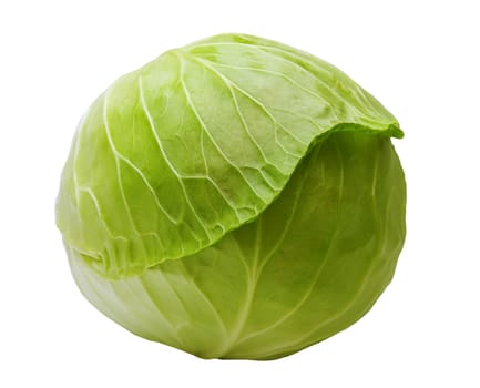 Cabbage is isolated on a white background
