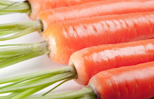 Carrot close on a light background