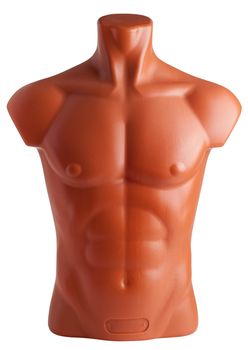 Male torso. Plastic mannequin isolated on white background.