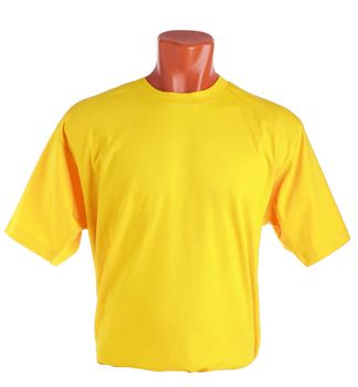 T-shirt on a mannequin isolated on white background. Front view, small folds, natural position.
