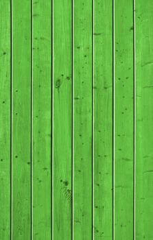 Wall of pine green wood board. Lining closeup, frontally.