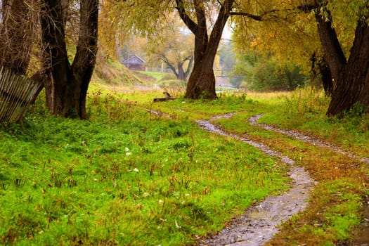 Autumn landscape: old trees, stretches far into the road, rickety fence. In the distance the river and the bridge. Gloomy weather