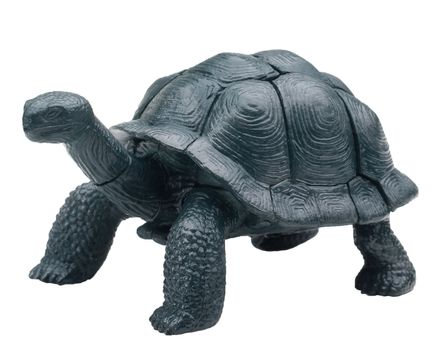 Realistic toy turtle isolated on white background