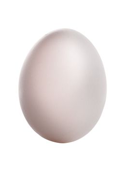 Egg isolated on white background