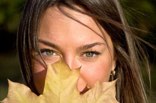 Beautiful young woman holding a maple leaf. Looks into the camera with green eyes. Autumn portrait.